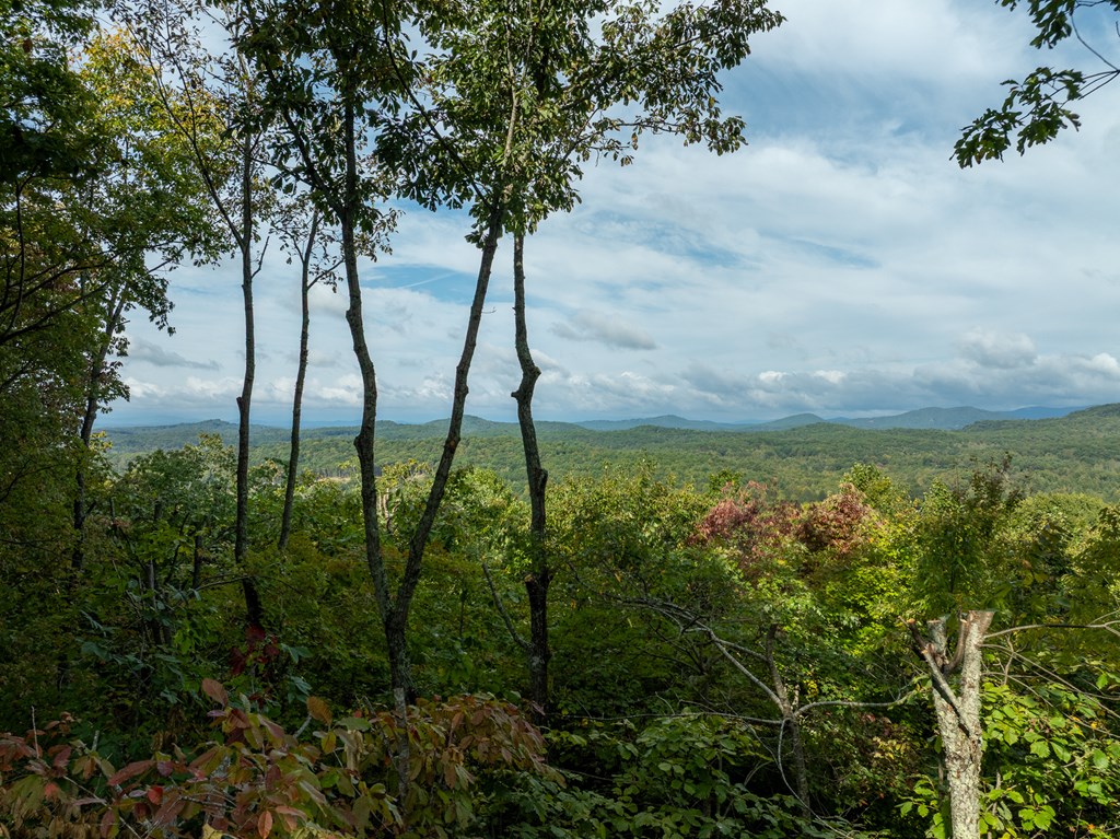 419482 Morganton Residential
