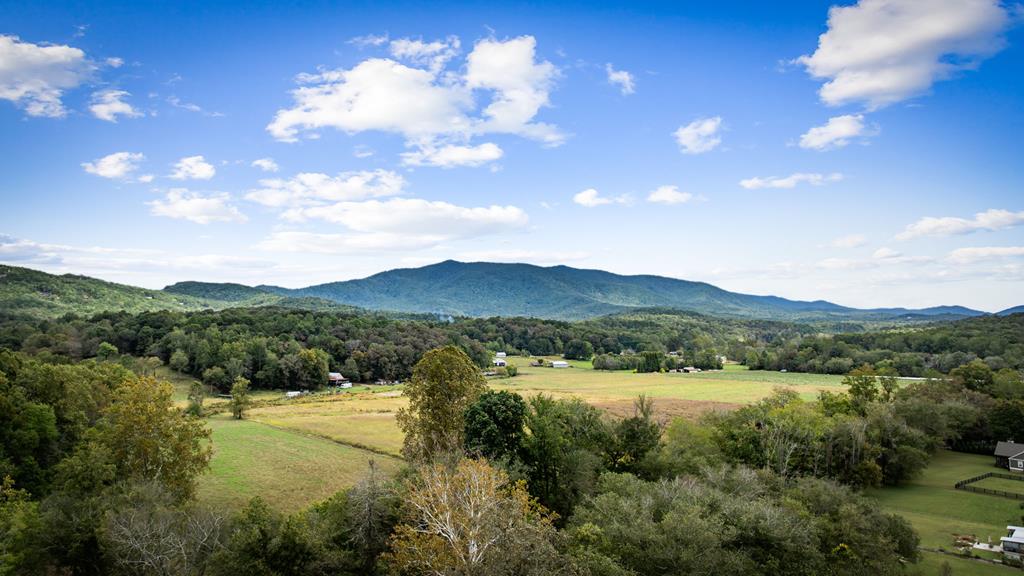 419486 Ellijay Residential