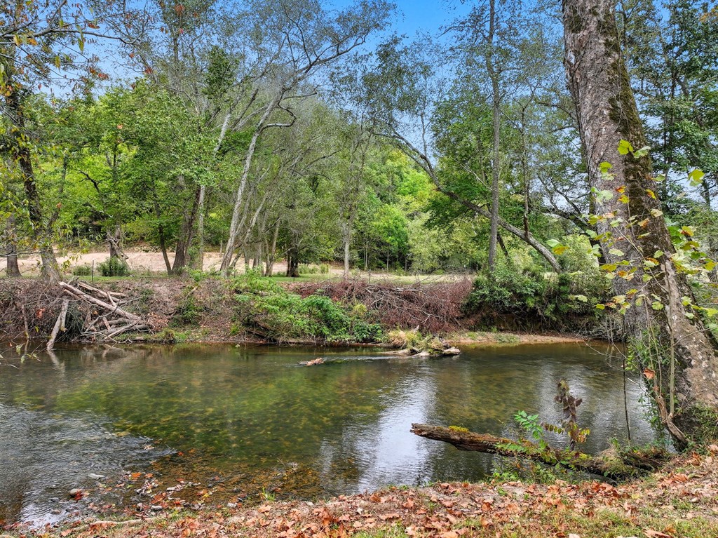 419488 Ellijay Residential