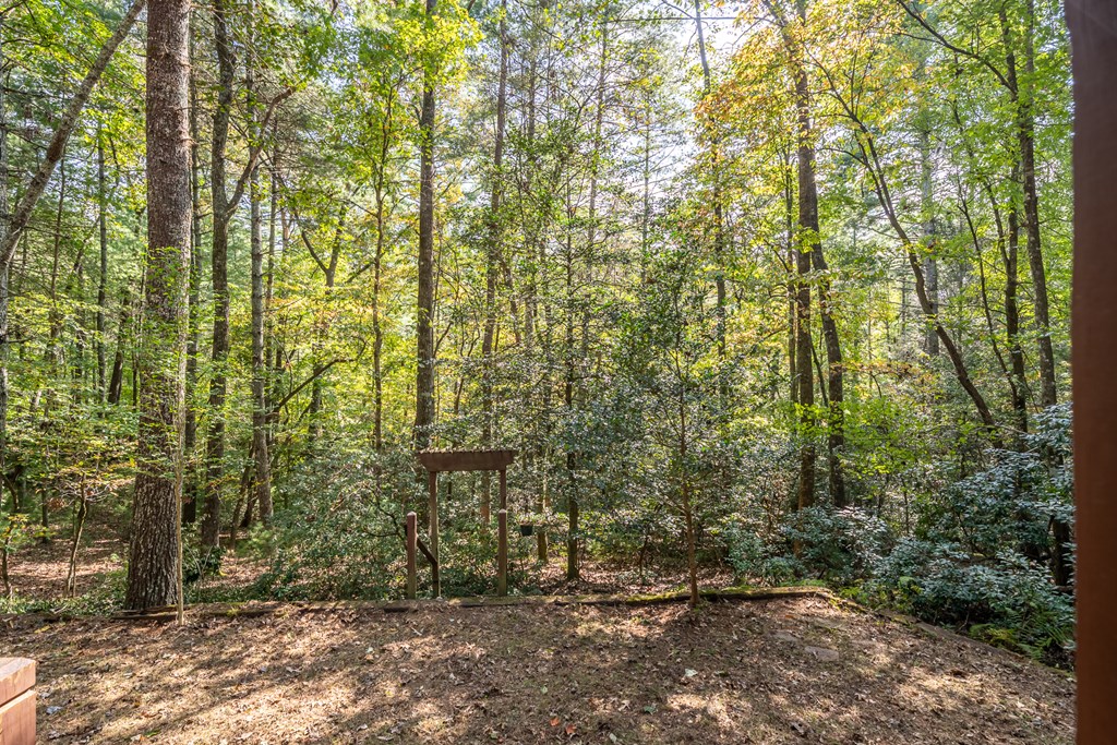 419497 Ellijay Residential
