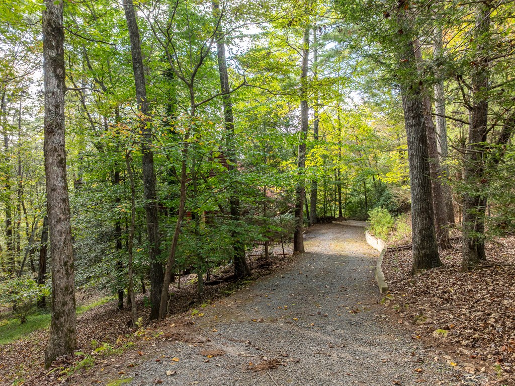 419497 Ellijay Residential