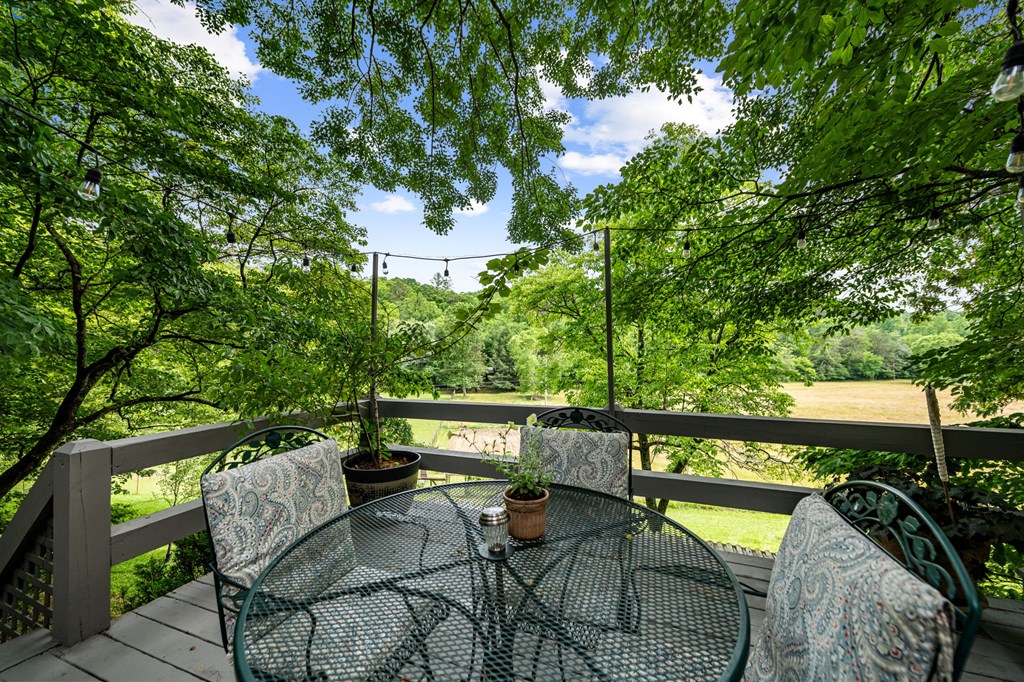 419516 Mineral Bluff Residential