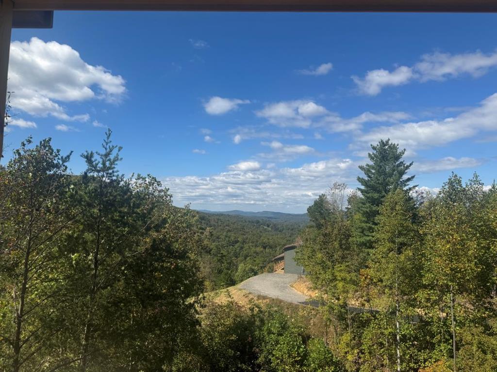 419523 Brasstown 