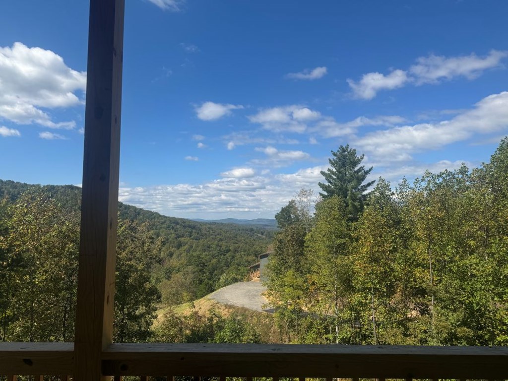 419523 Brasstown Residential