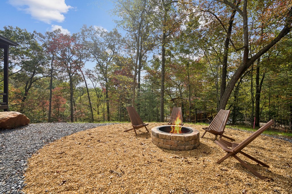 419526 Mineral Bluff Residential