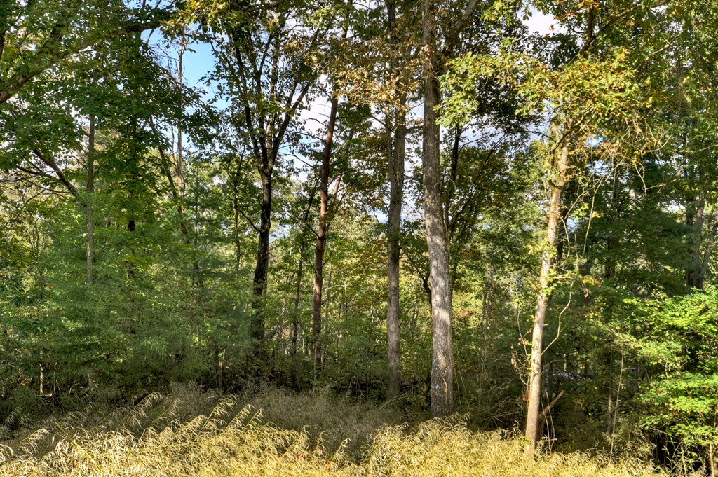419527 Ellijay Residential