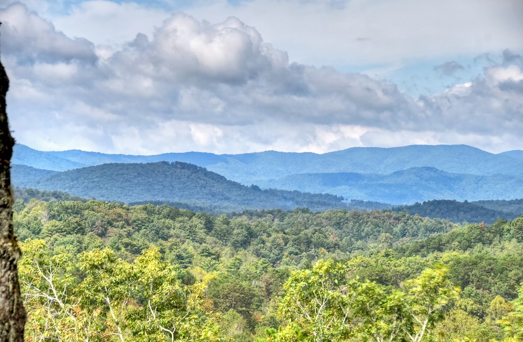 419530 Blue Ridge Residential