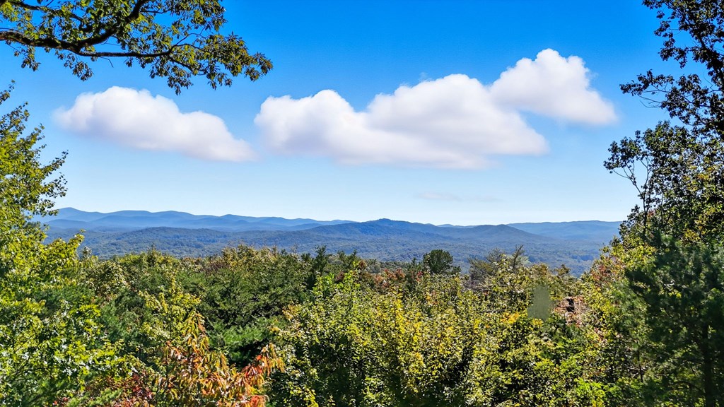 419559 Ellijay Residential
