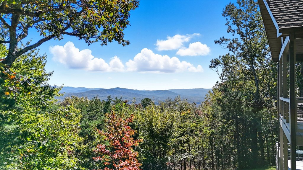 419559 Ellijay Residential