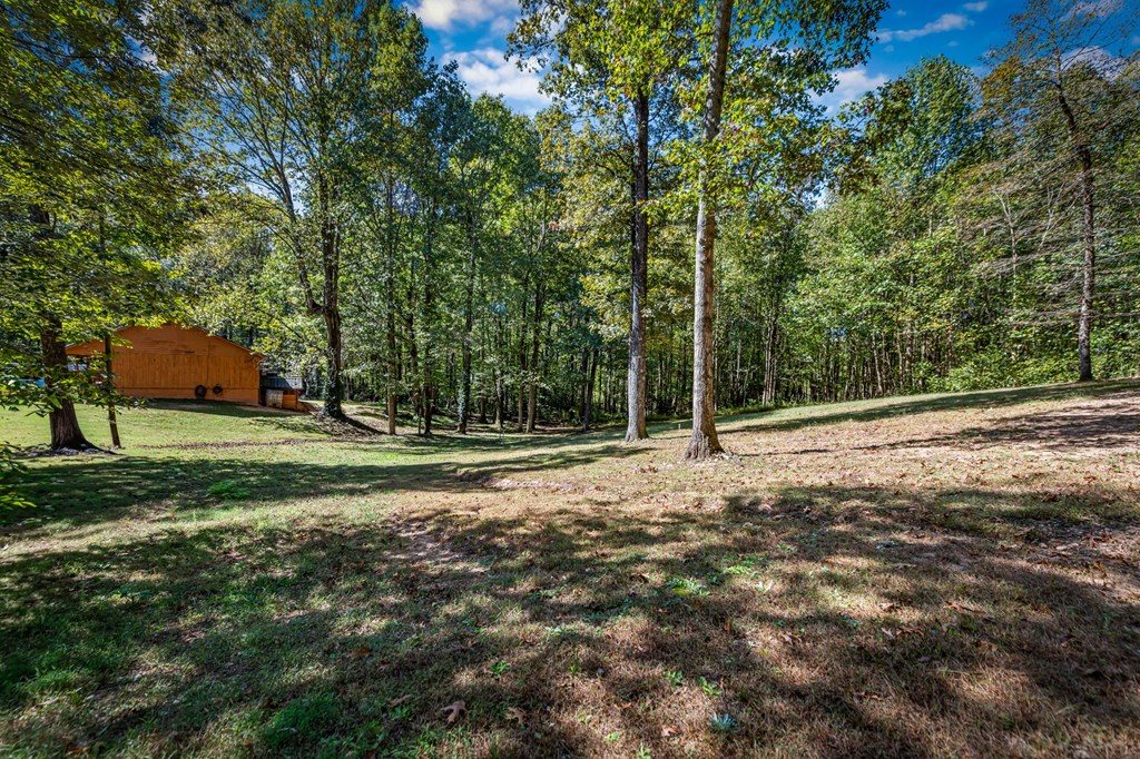 419590 Ellijay Residential