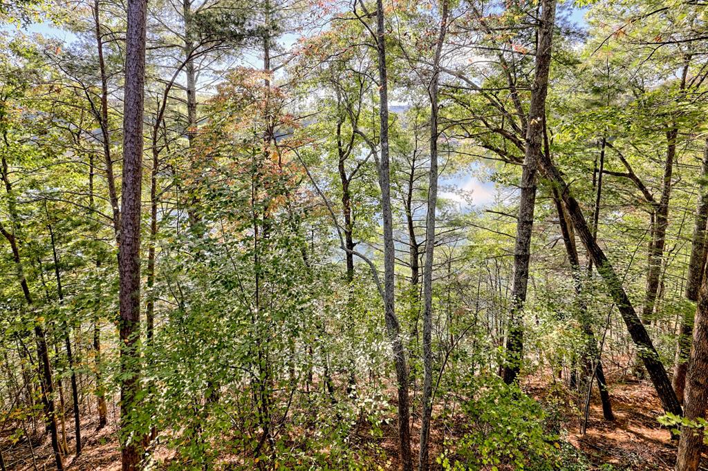 419596 Blairsville Residential