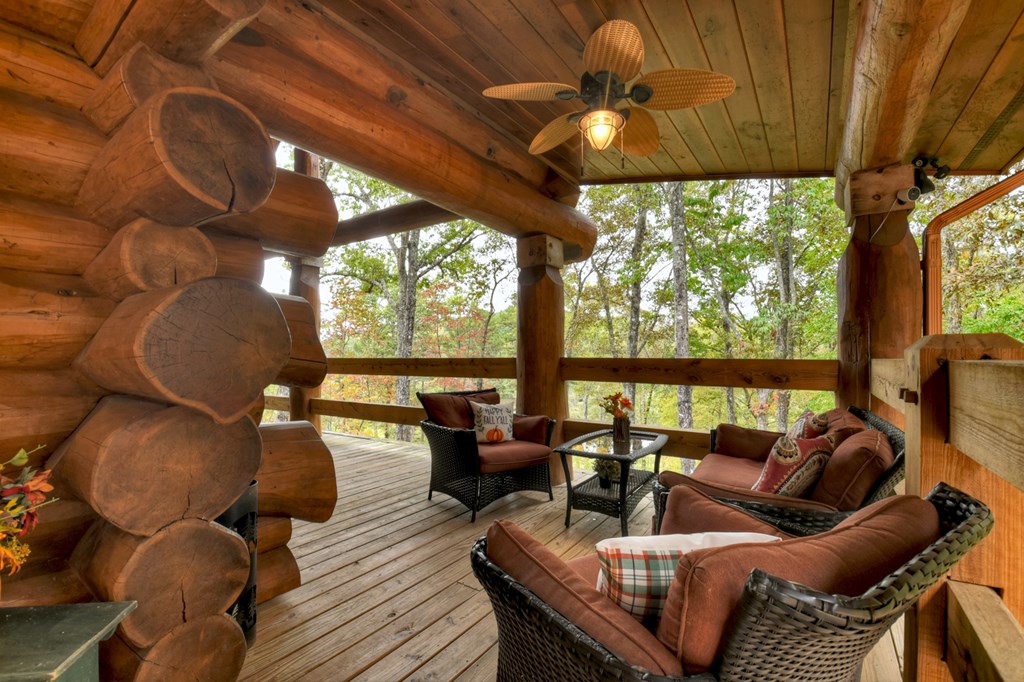 419616 Mineral Bluff Residential