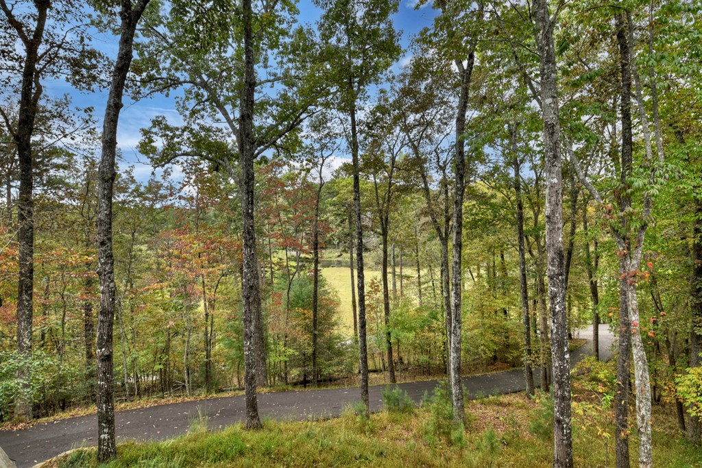 419616 Mineral Bluff Residential