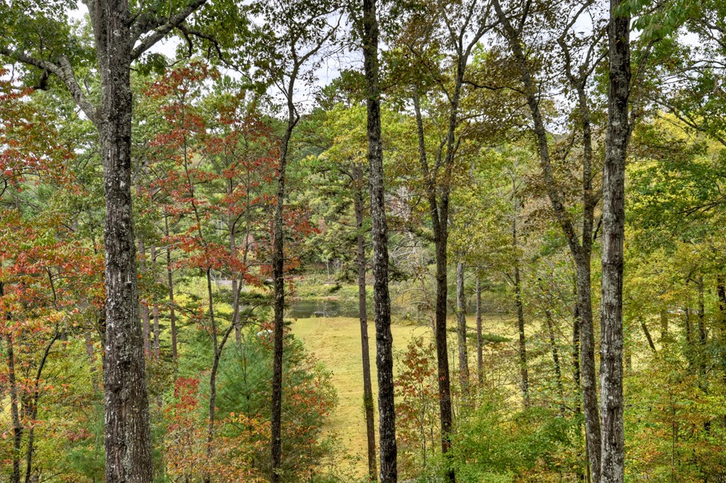 419616 Mineral Bluff Residential