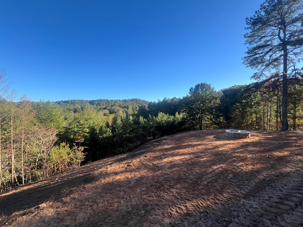419625 Mineral Bluff Residential