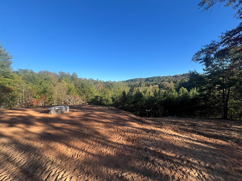 419625 Mineral Bluff Residential