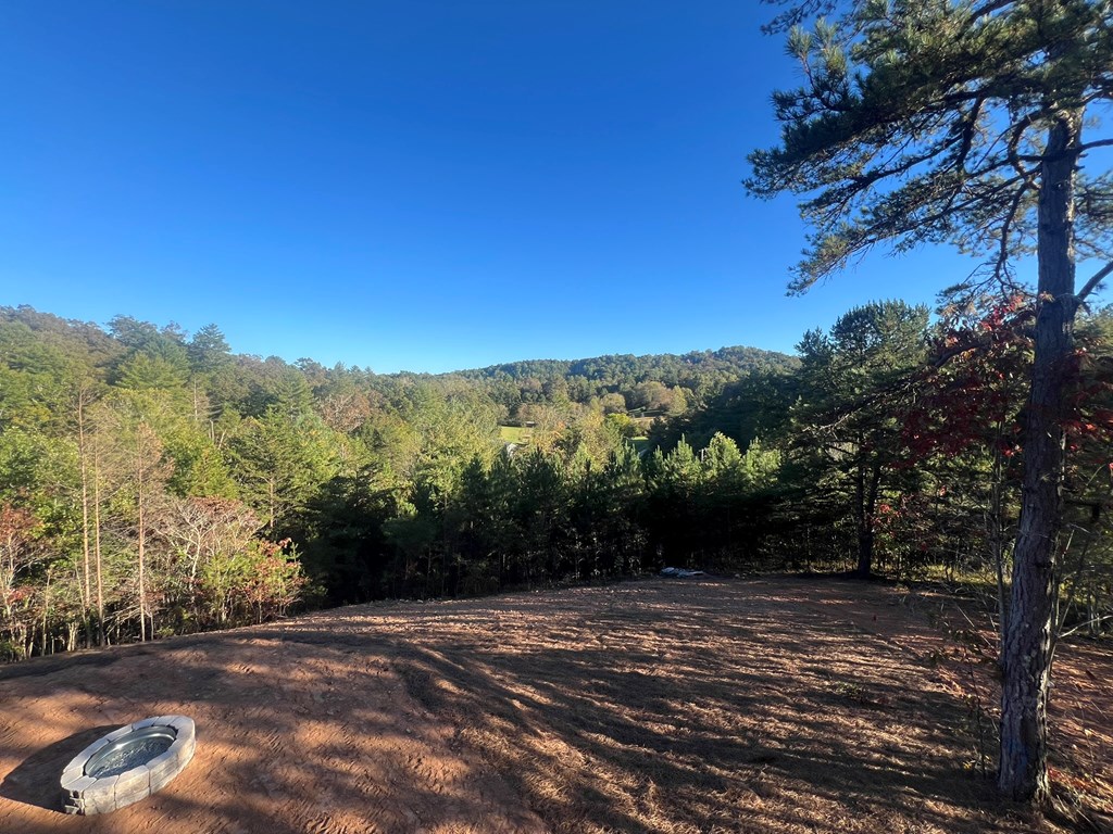 419625 Mineral Bluff Residential