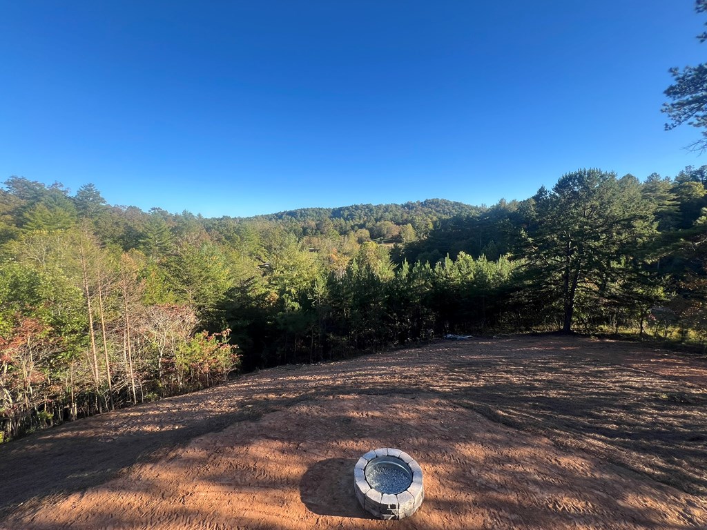 419625 Mineral Bluff Residential