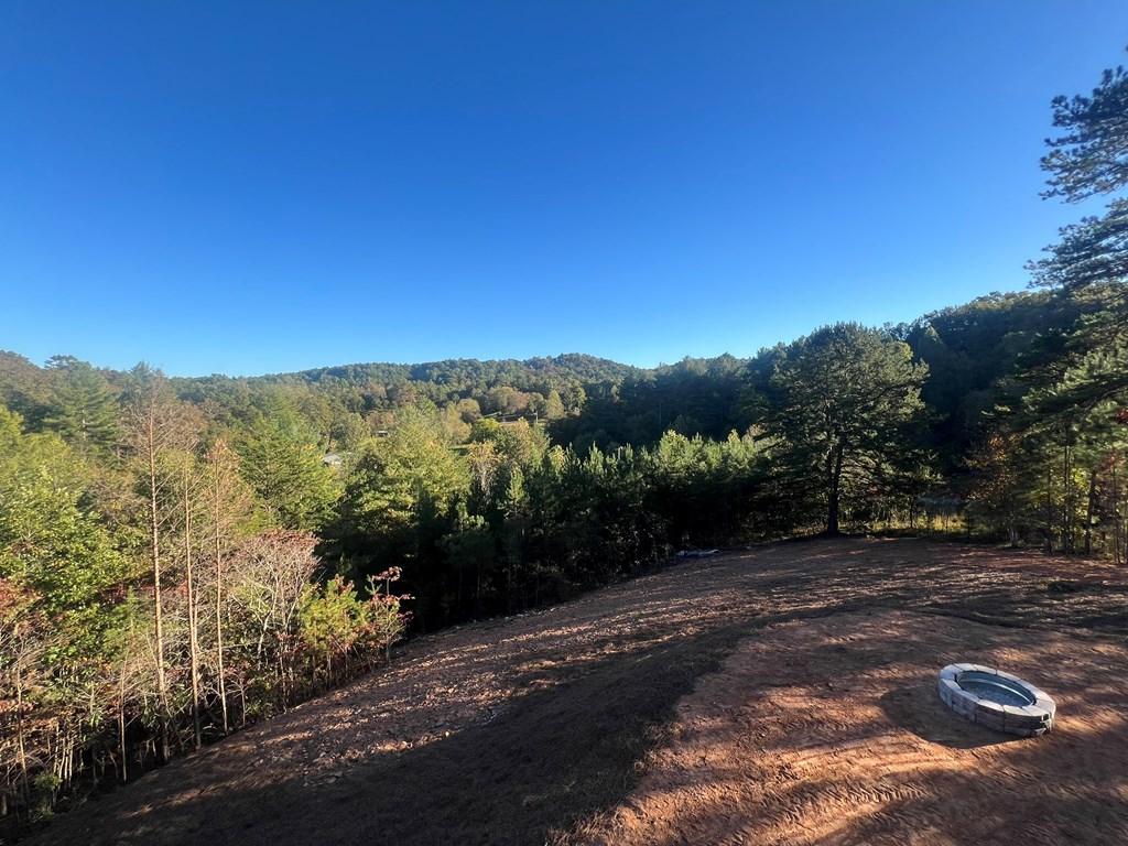 419625 Mineral Bluff Residential