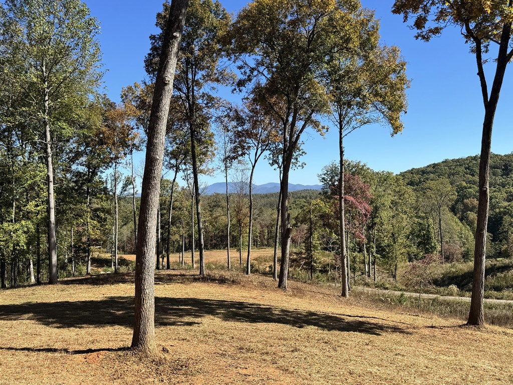 419648 Blue Ridge Residential