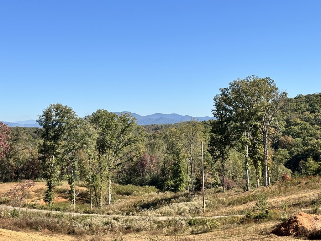 419648 Blue Ridge Residential