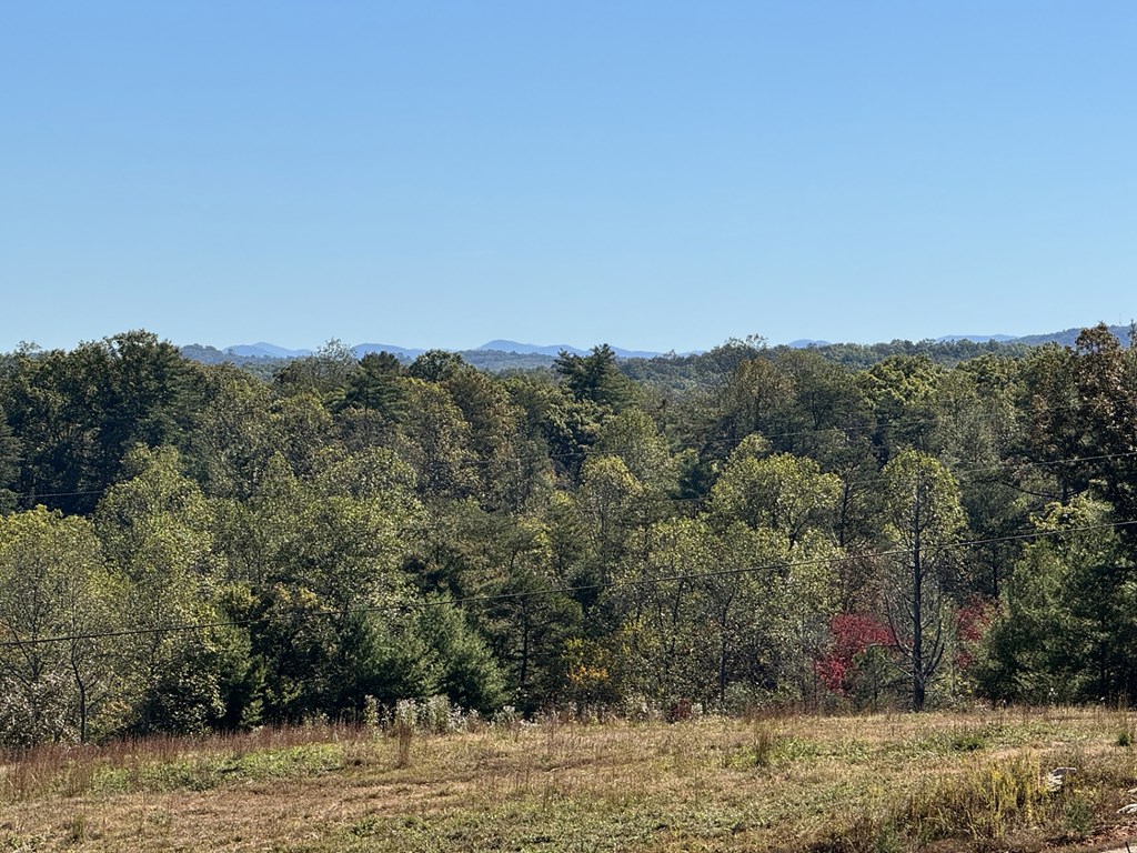 419648 Blue Ridge Residential
