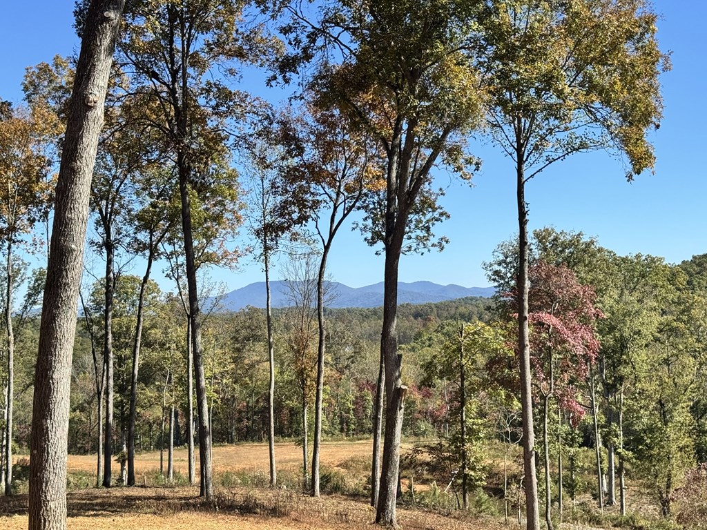 419648 Blue Ridge Residential