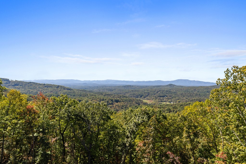 419668 Mineral Bluff Residential
