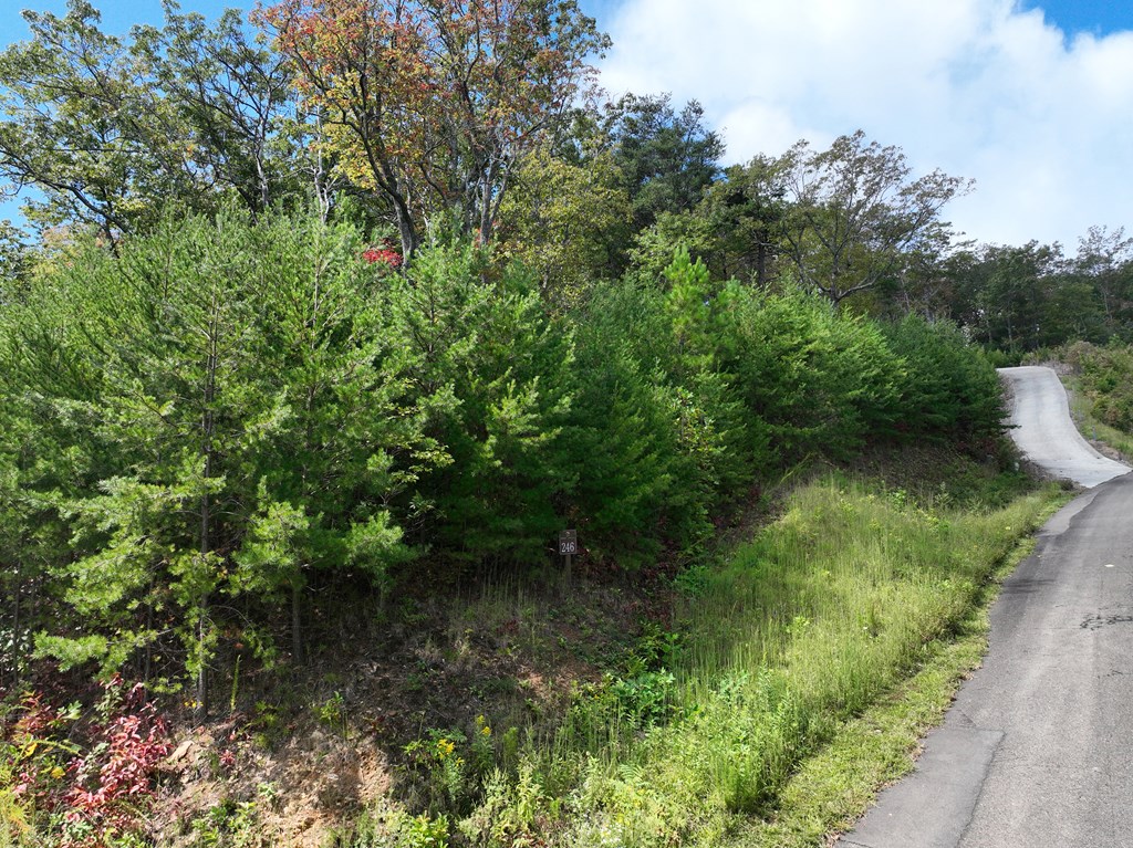 419669 Ellijay Residential