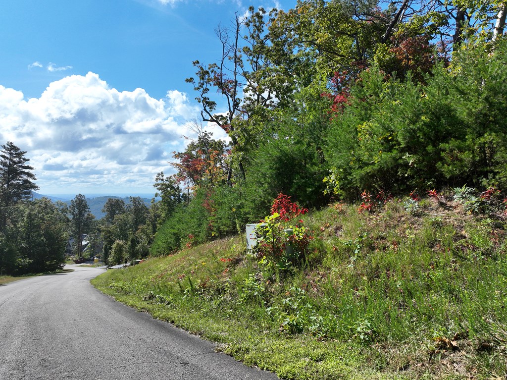 419669 Ellijay Residential