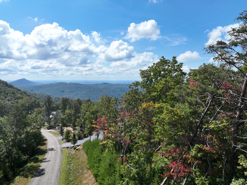 419669 Ellijay Residential