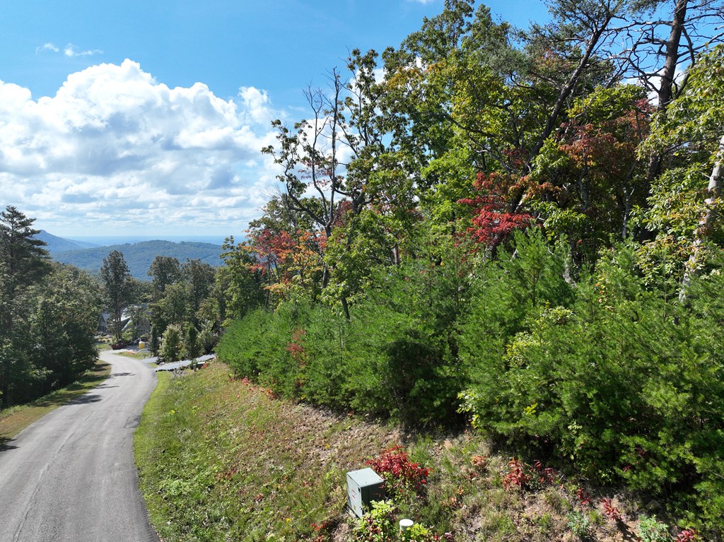 419669 Ellijay Residential