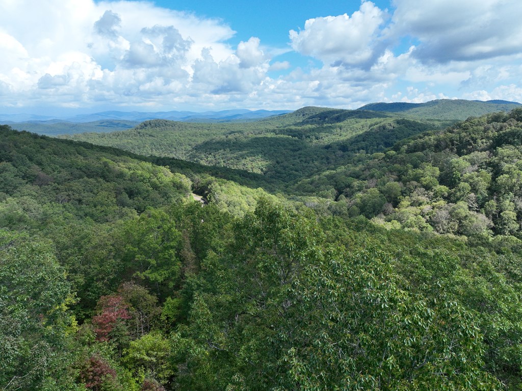 419669 Ellijay Residential