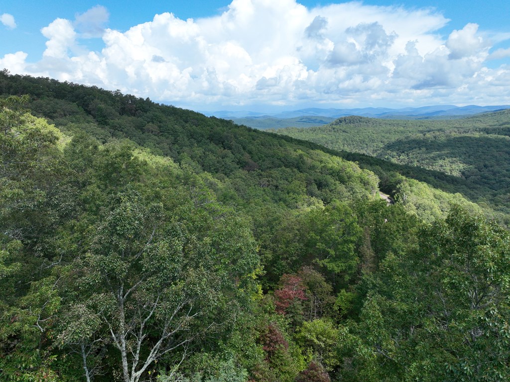 419669 Ellijay Residential