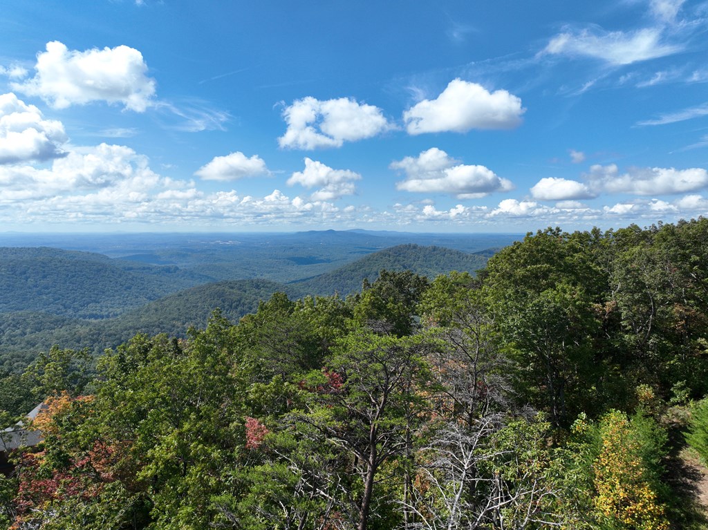 419669 Ellijay Residential