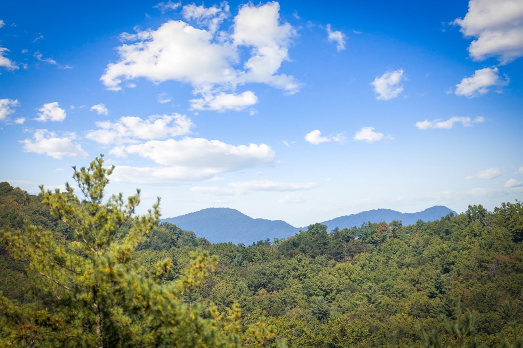 419670 Blue Ridge Residential