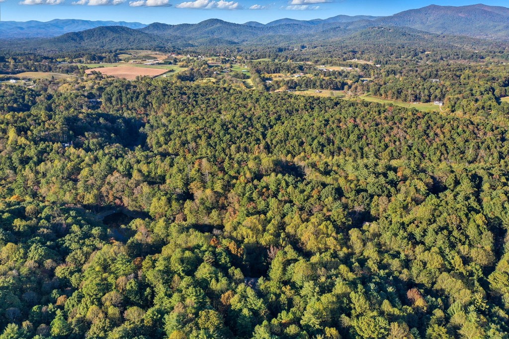 419688 Ellijay Residential