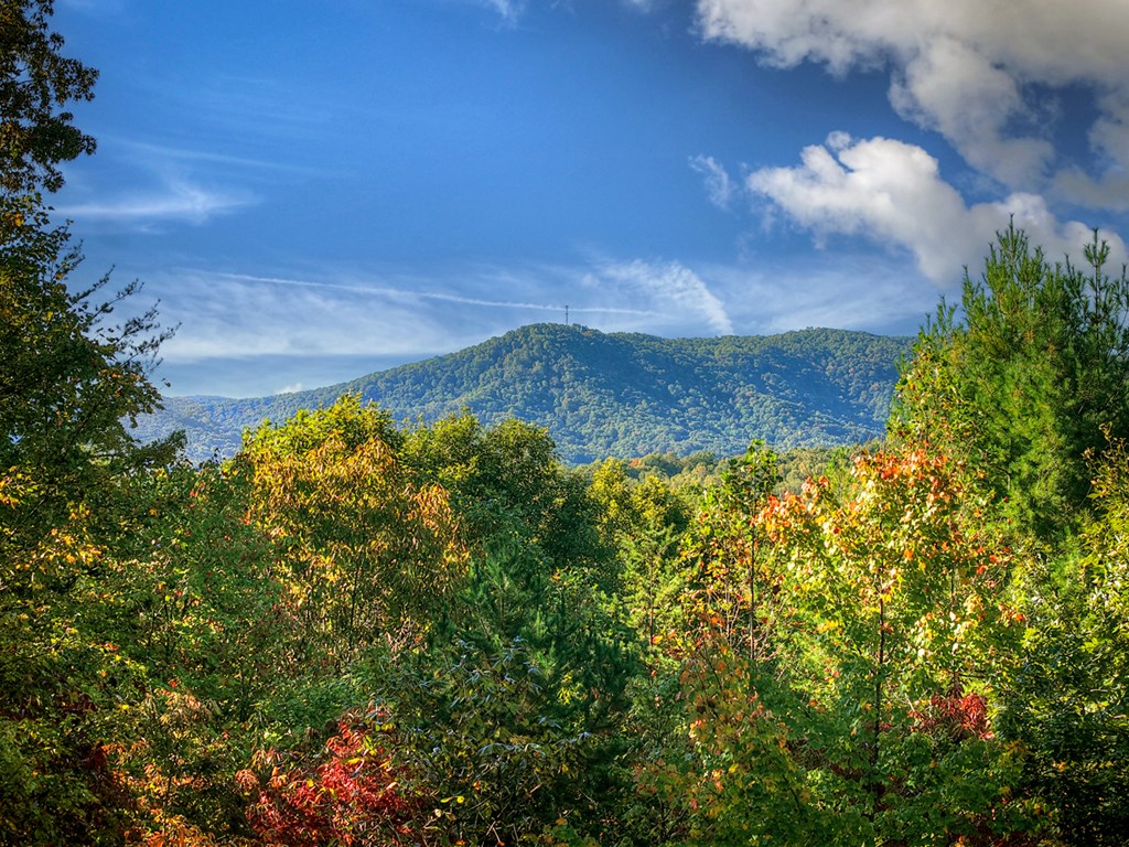 419713 Blue Ridge Residential