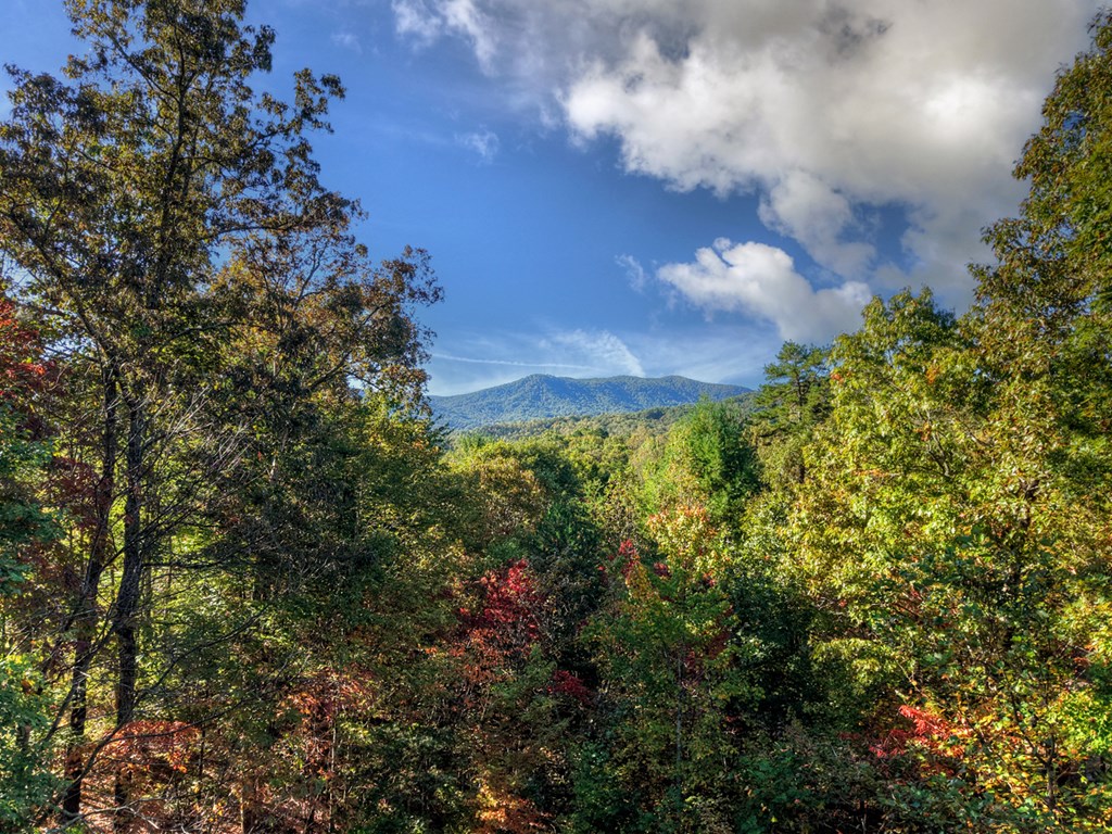 419713 Blue Ridge Residential