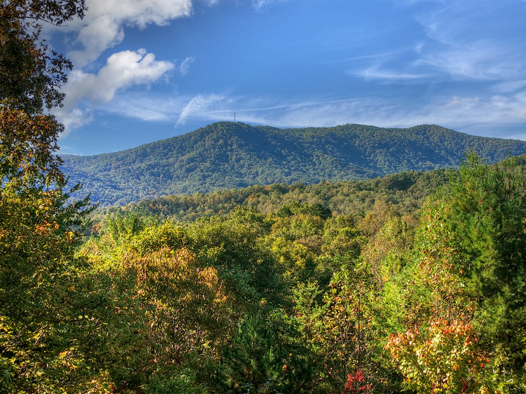419713 Blue Ridge Residential