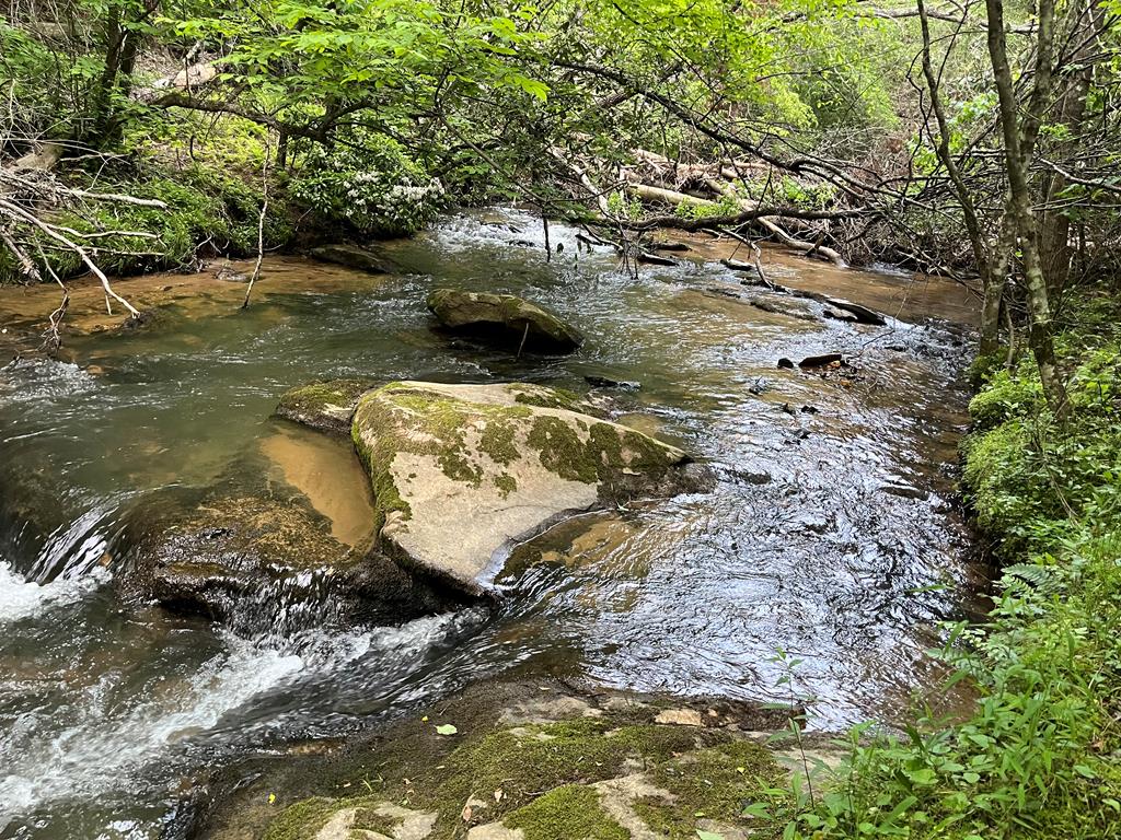 419714 Mineral Bluff Residential