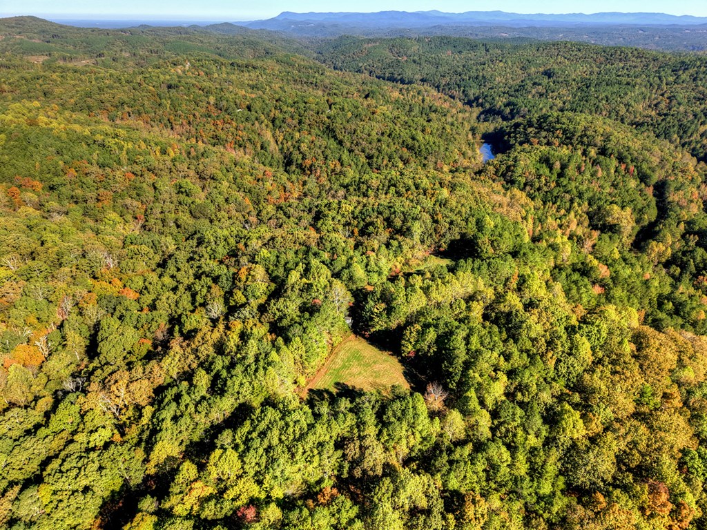 419736 Ranger Residential