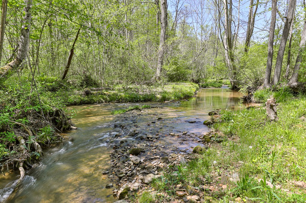 419756 Ellijay Residential