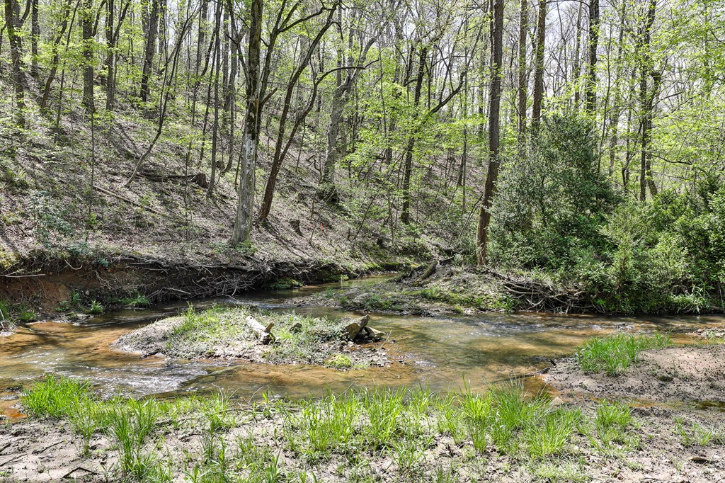 419756 Ellijay Residential