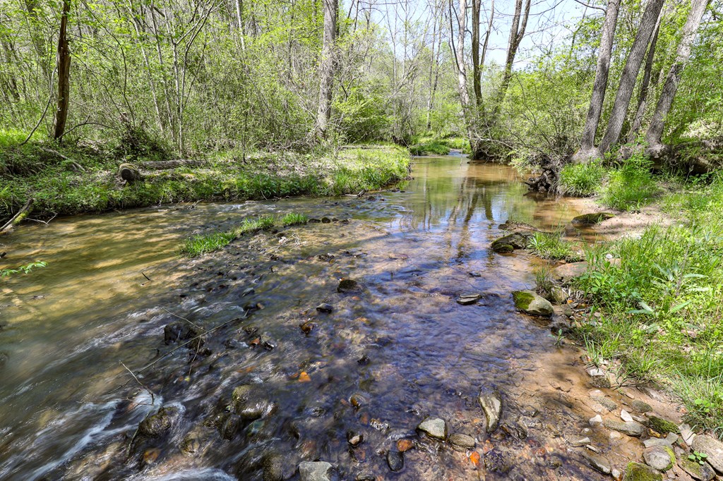 419756 Ellijay Residential