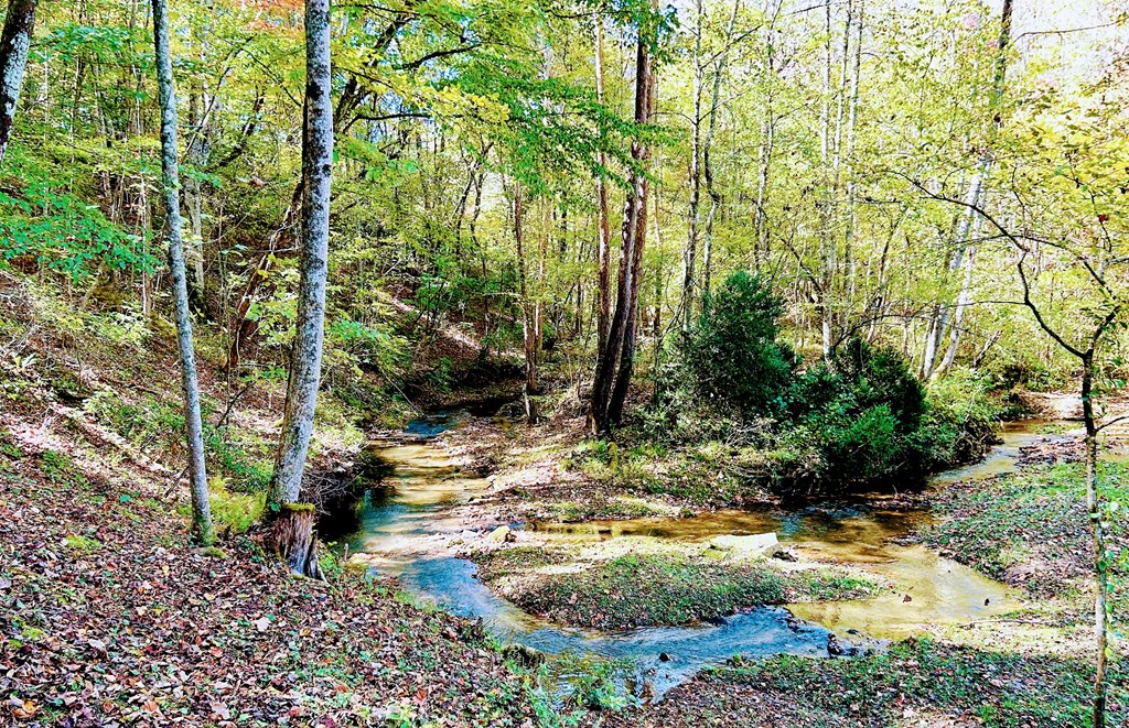 419756 Ellijay Residential