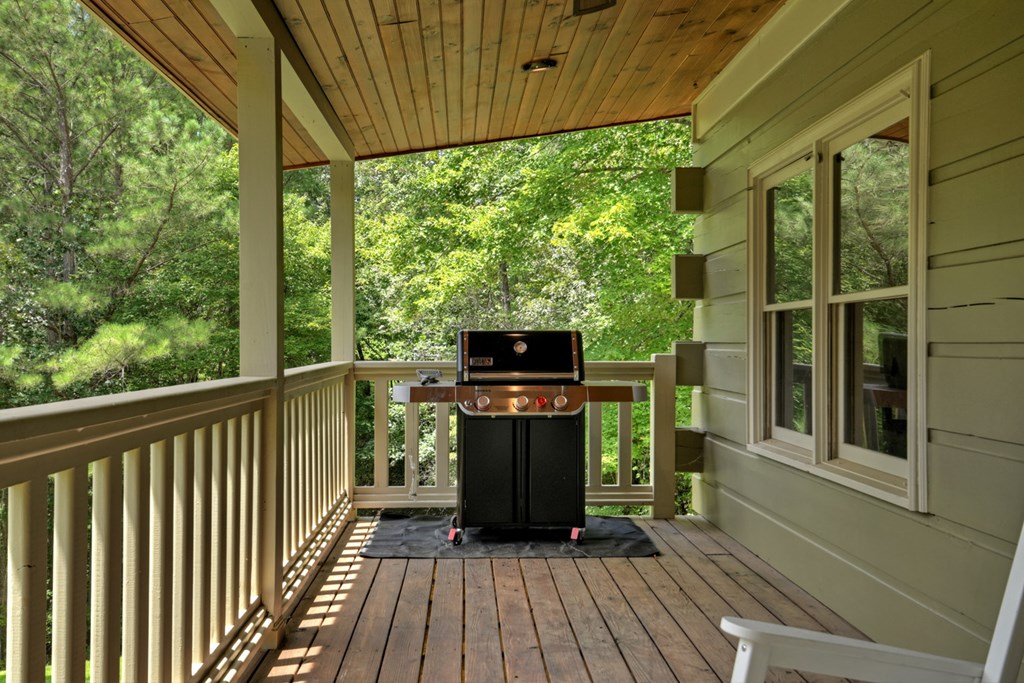 419771 Mineral Bluff Residential