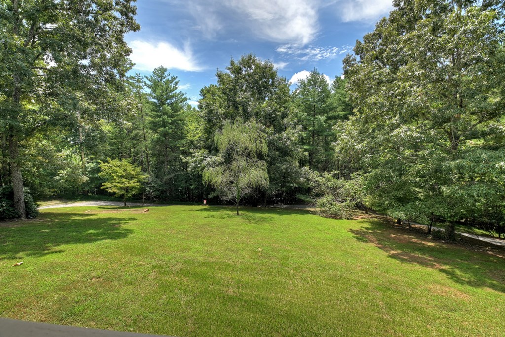 419771 Mineral Bluff Residential