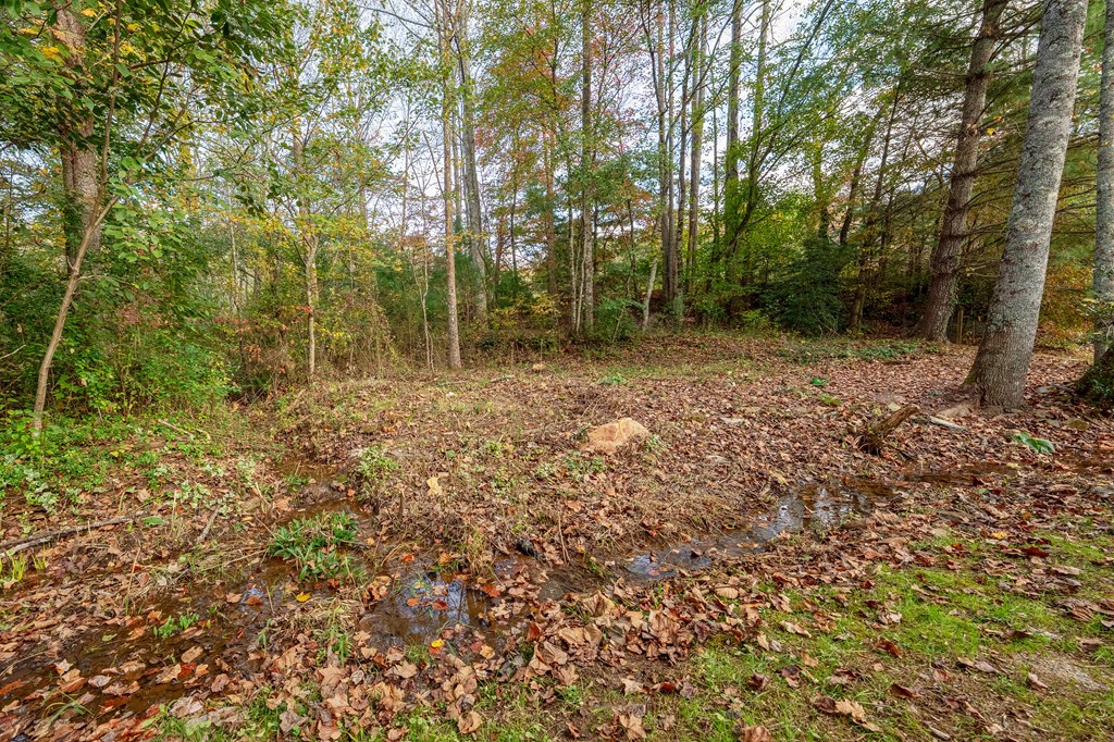 419774 Blairsville Residential