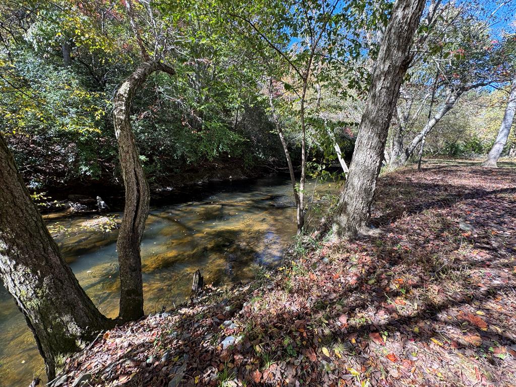 419786 Brasstown Residential